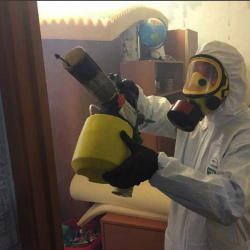 Уничтожение клопов в квартире. Псков